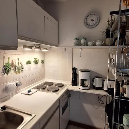 Sophie 公寓 温特贝格