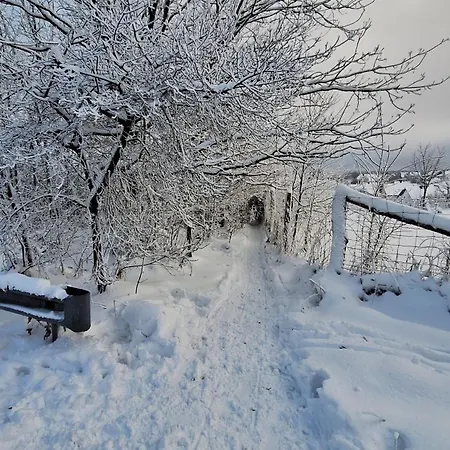 Apartman Sophie Winterberg