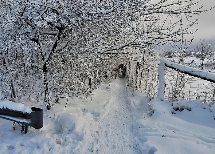 Apartment Sophie Winterberg